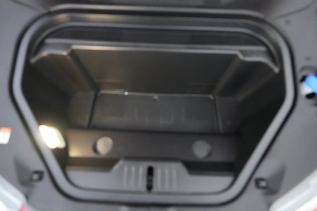 2021 Ford Mustang Mach-E — photo 20 of 31