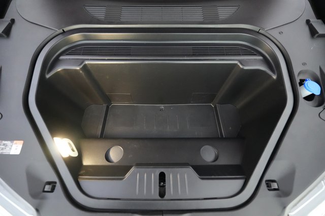 2021 Ford Mustang Mach-E — photo 23 of 28