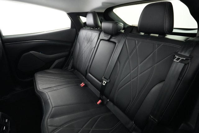 2021 Ford Mustang Mach-E — photo 19 of 28