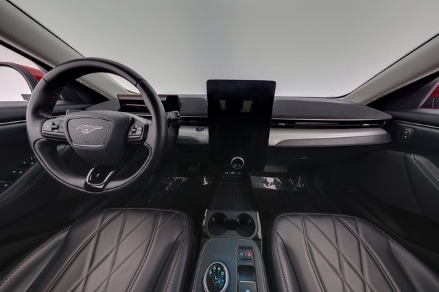 2021 Ford Mustang Mach-E — photo 21 of 28