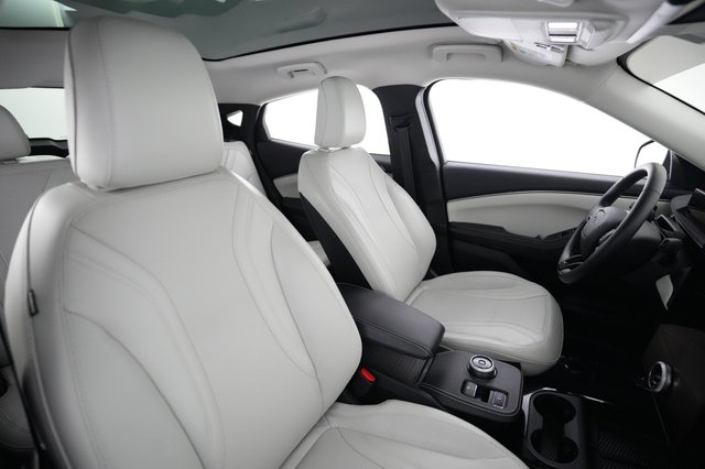 2024 Ford Mustang Mach-E — photo 18 of 24