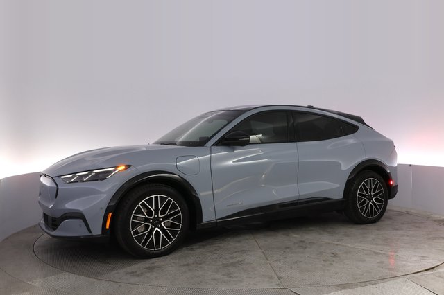 2024 Ford Mustang Mach-E — photo 14 of 24