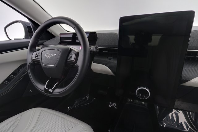 2024 Ford Mustang Mach-E — photo 20 of 24