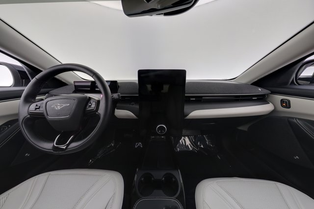 2024 Ford Mustang Mach-E — photo 21 of 24