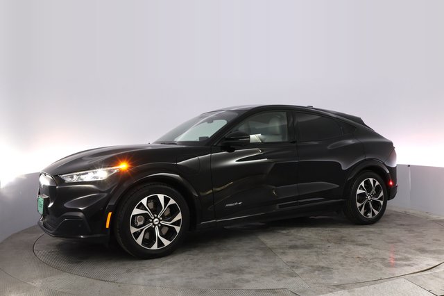 2021 Ford Mustang Mach-E — photo 14 of 29