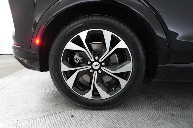 2021 Ford Mustang Mach-E — photo 17 of 29