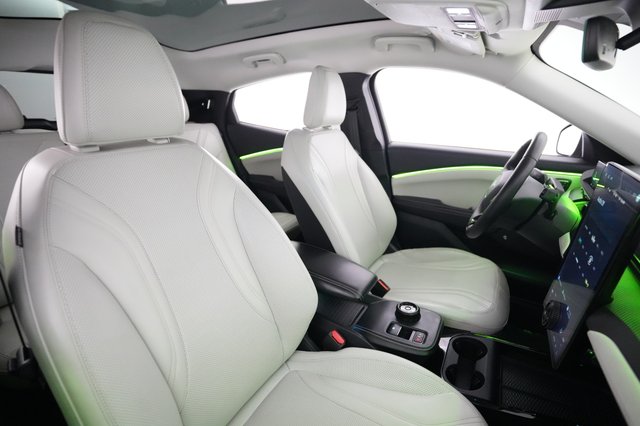 2021 Ford Mustang Mach-E — photo 18 of 29