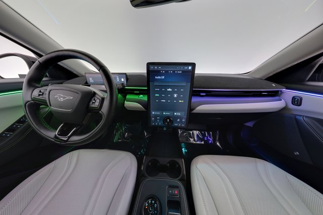 2021 Ford Mustang Mach-E — photo 20 of 29