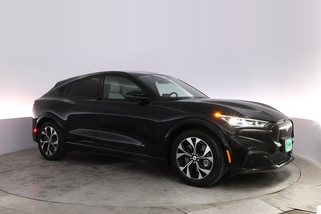 2021 Ford Mustang Mach-E — photo 11 of 29