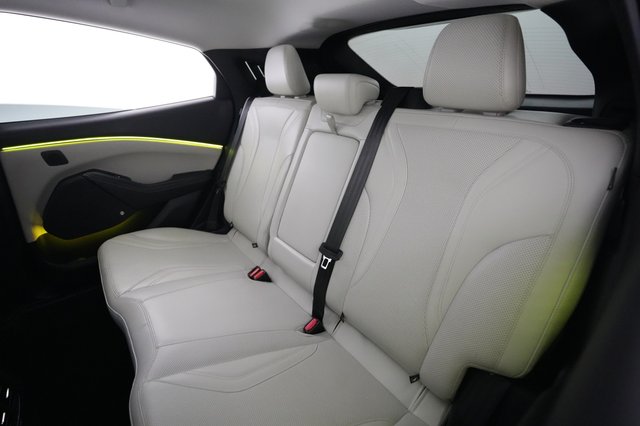 2021 Ford Mustang Mach-E — photo 19 of 29