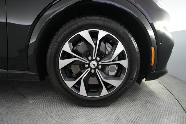 2021 Ford Mustang Mach-E — photo 15 of 29