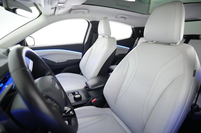 2021 Ford Mustang Mach-E — photo 3 of 29