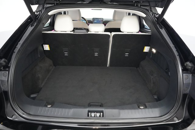 2021 Ford Mustang Mach-E — photo 6 of 29