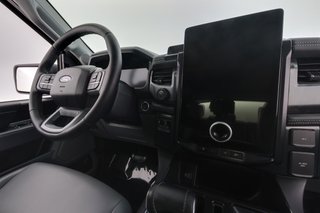 2025 Ford F-150 Lightning — photo 14 of 18