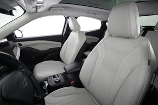 2022 Ford Mustang Mach-E — photo 3 of 24