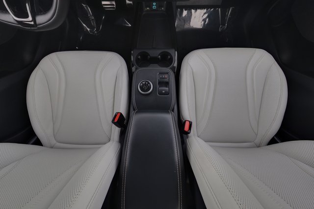 2022 Ford Mustang Mach-E — photo 22 of 24