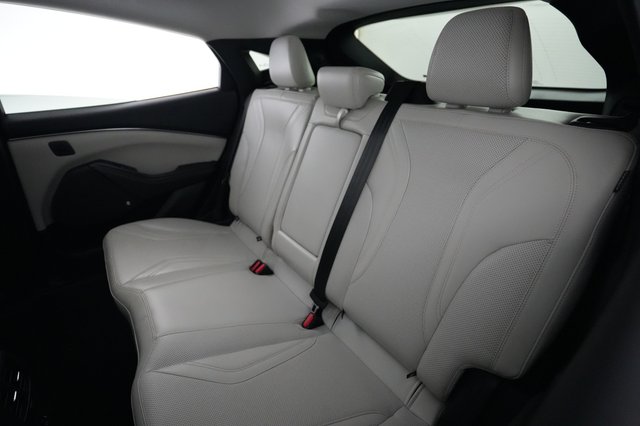 2022 Ford Mustang Mach-E — photo 19 of 24