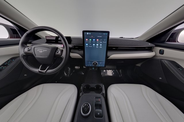 2022 Ford Mustang Mach-E — photo 21 of 24