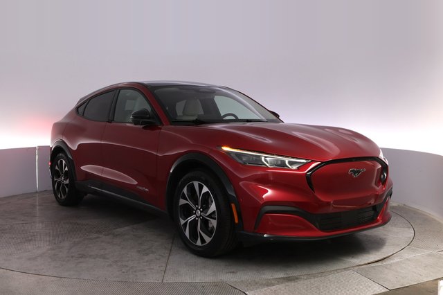 2022 Ford Mustang Mach-E — photo 10 of 24