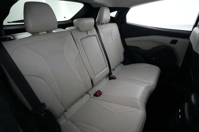 2022 Ford Mustang Mach-E — photo 4 of 24