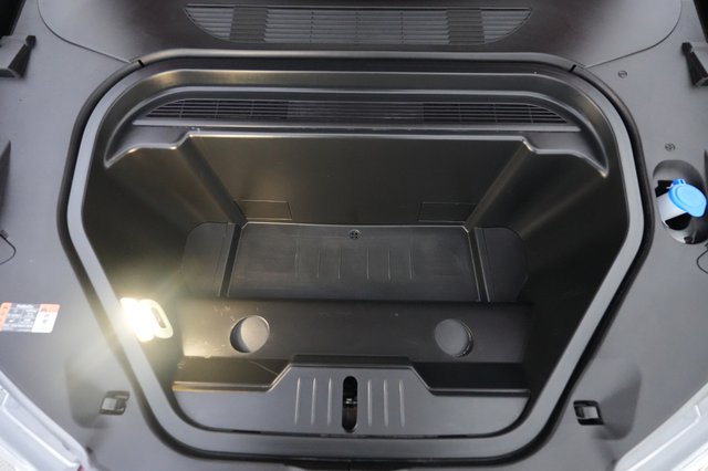 2022 Ford Mustang Mach-E — photo 23 of 24