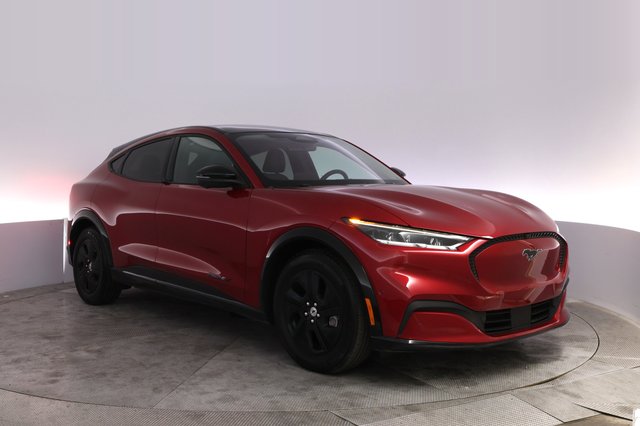 2021 Ford Mustang Mach-E — photo 10 of 22