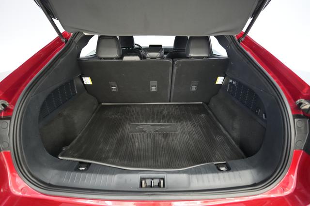 2021 Ford Mustang Mach-E — photo 6 of 22