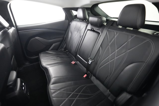 2021 Ford Mustang Mach-E — photo 19 of 22