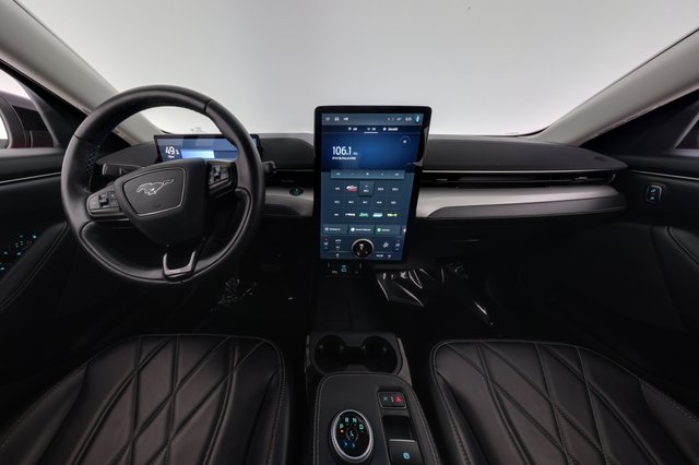 2021 Ford Mustang Mach-E — photo 20 of 22