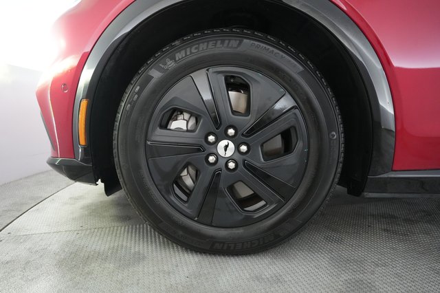 2021 Ford Mustang Mach-E — photo 15 of 22