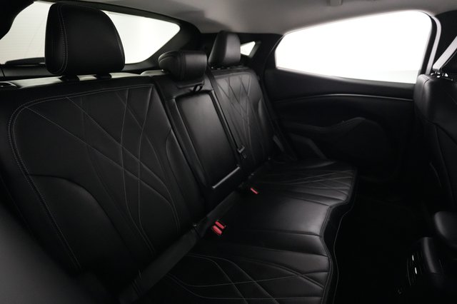 2021 Ford Mustang Mach-E — photo 18 of 22