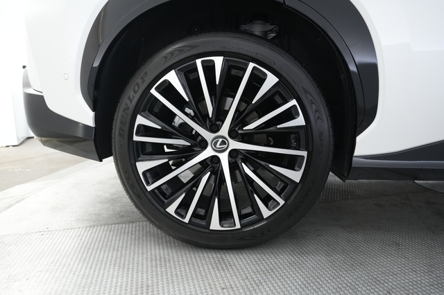 2024 Lexus RZ