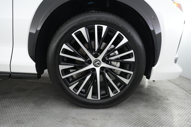 2024 Lexus RZ