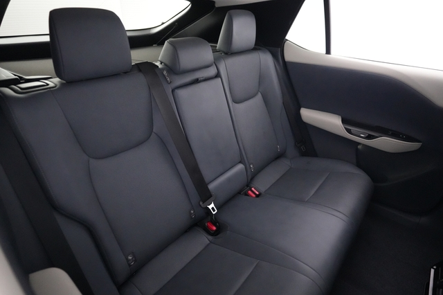 2024 Lexus RZ