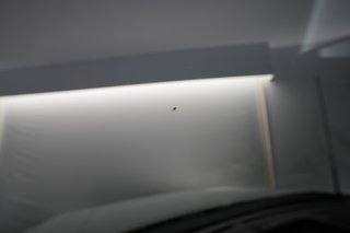 2023 Ford F-150 Lightning — photo 20 of 21