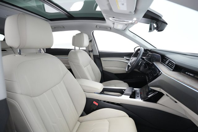 2019 Audi e-tron — photo 16 of 35