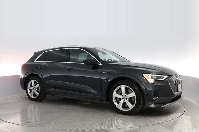 2019 Audi e-tron — photo 8 of 22