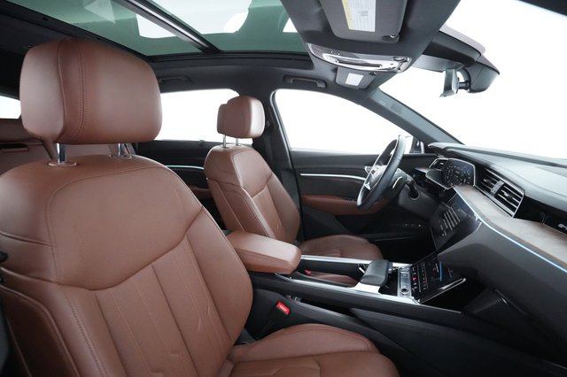 2019 Audi e-tron — photo 20 of 22