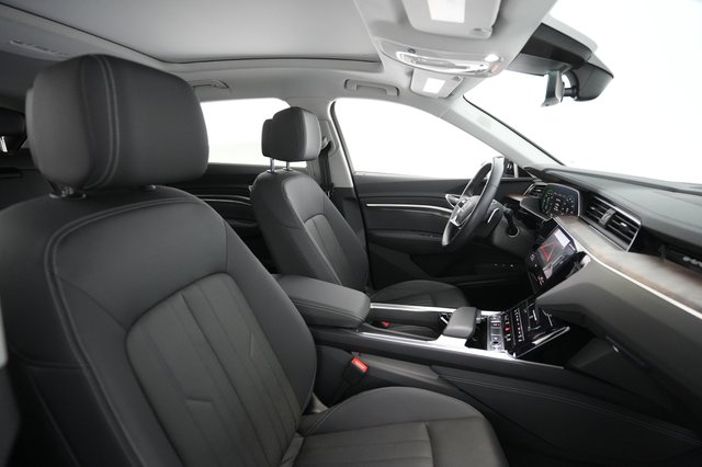 2019 Audi e-tron — photo 19 of 31