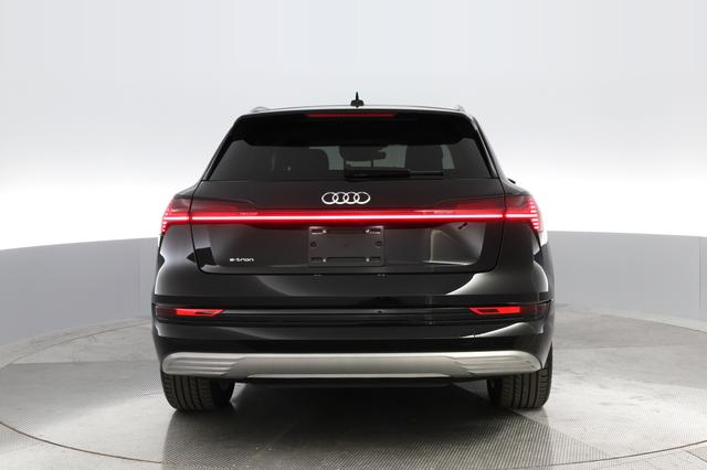 2019 Audi e-tron — photo 10 of 31