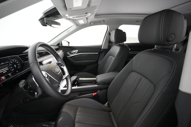 2019 Audi e-tron — photo 17 of 31