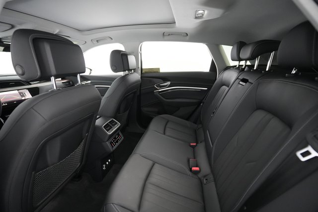 2019 Audi e-tron — photo 18 of 31