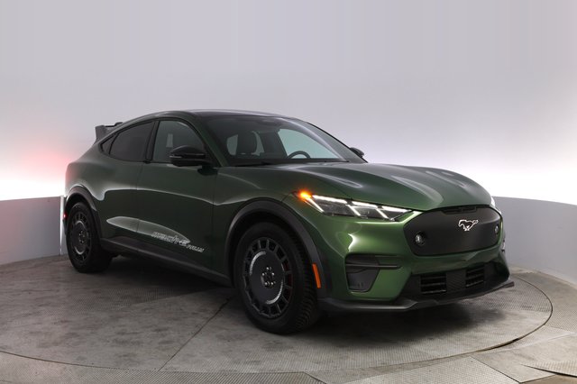 2025 Ford Mustang Mach-E — photo 10 of 23