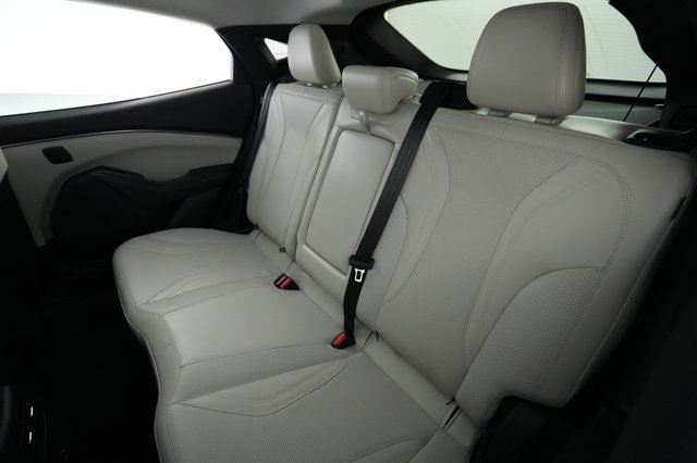 2023 Ford Mustang Mach-E — photo 19 of 24