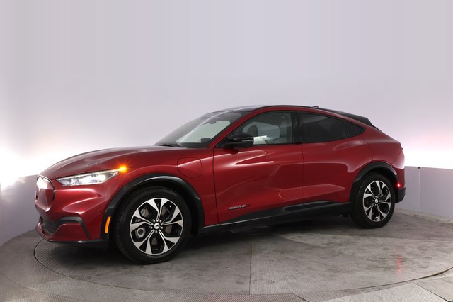2023 Ford Mustang Mach-E — photo 14 of 24