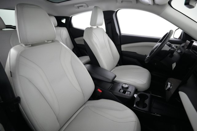 2023 Ford Mustang Mach-E — photo 18 of 24