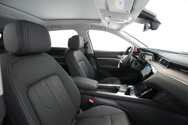 2019 Audi e-tron — photo 18 of 31