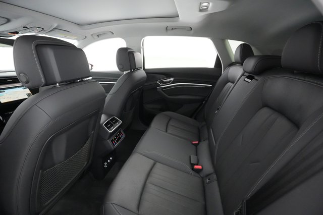 2019 Audi e-tron — photo 17 of 31