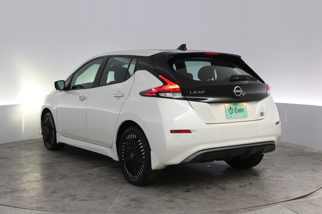 2024 Nissan LEAF