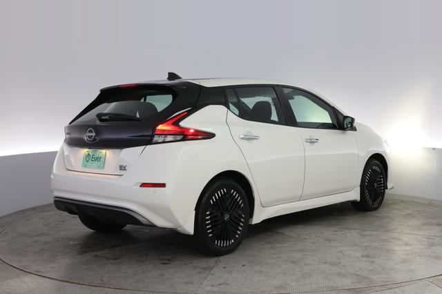 2024 Nissan LEAF — photo 2 of 20